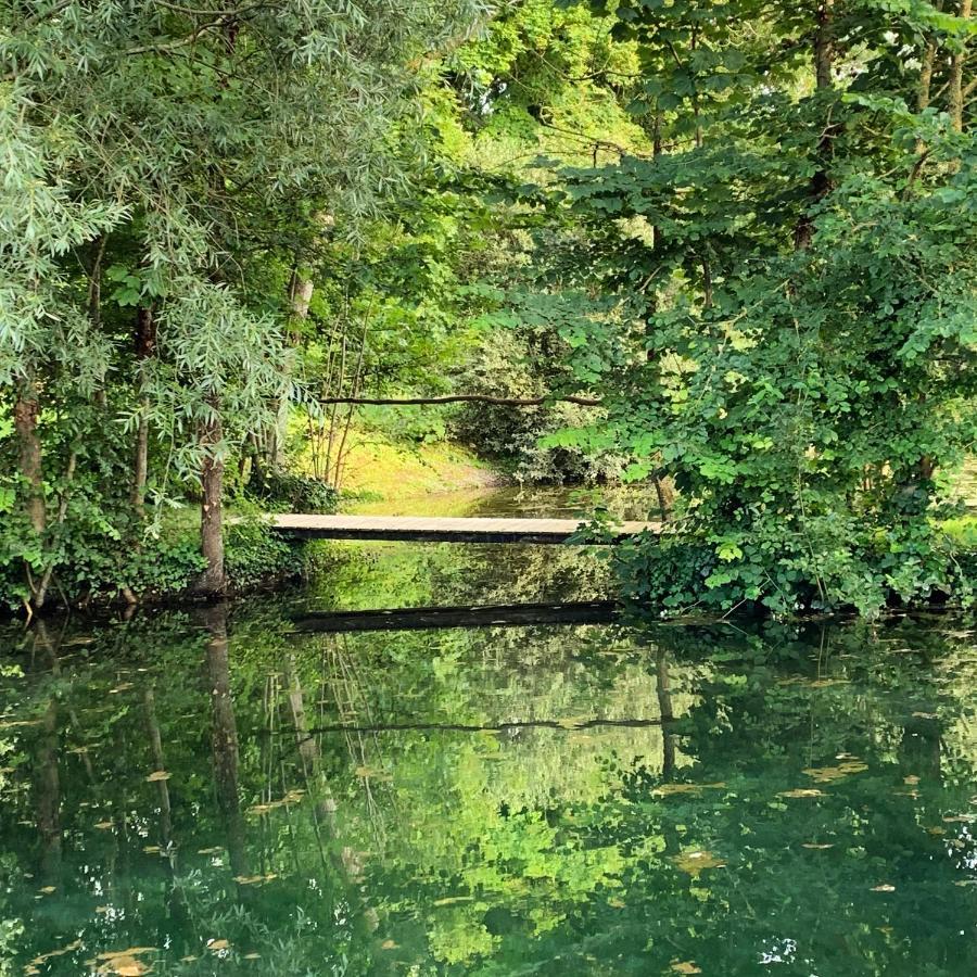 Moulin Moulin *